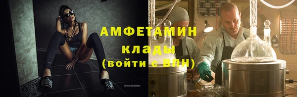 индика Белоозёрский
