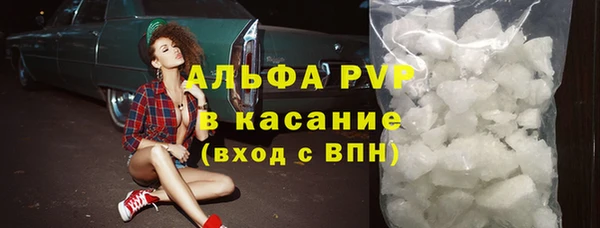 индика Белоозёрский
