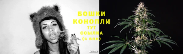 спайс Беломорск