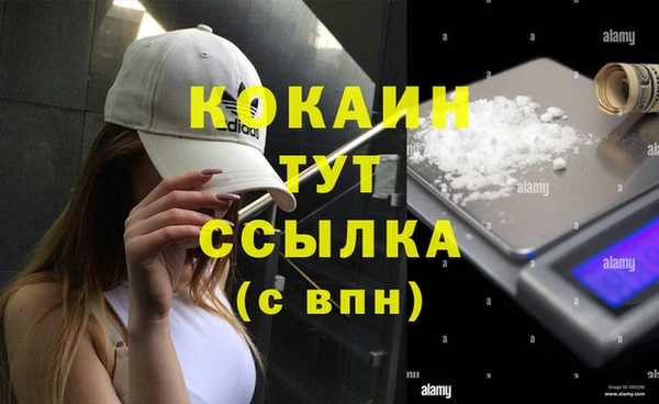 спайс Беломорск