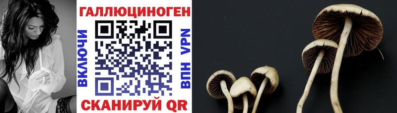 где купить наркоту kraken сайт Галлюциногенные грибы ЛСД Колпашево